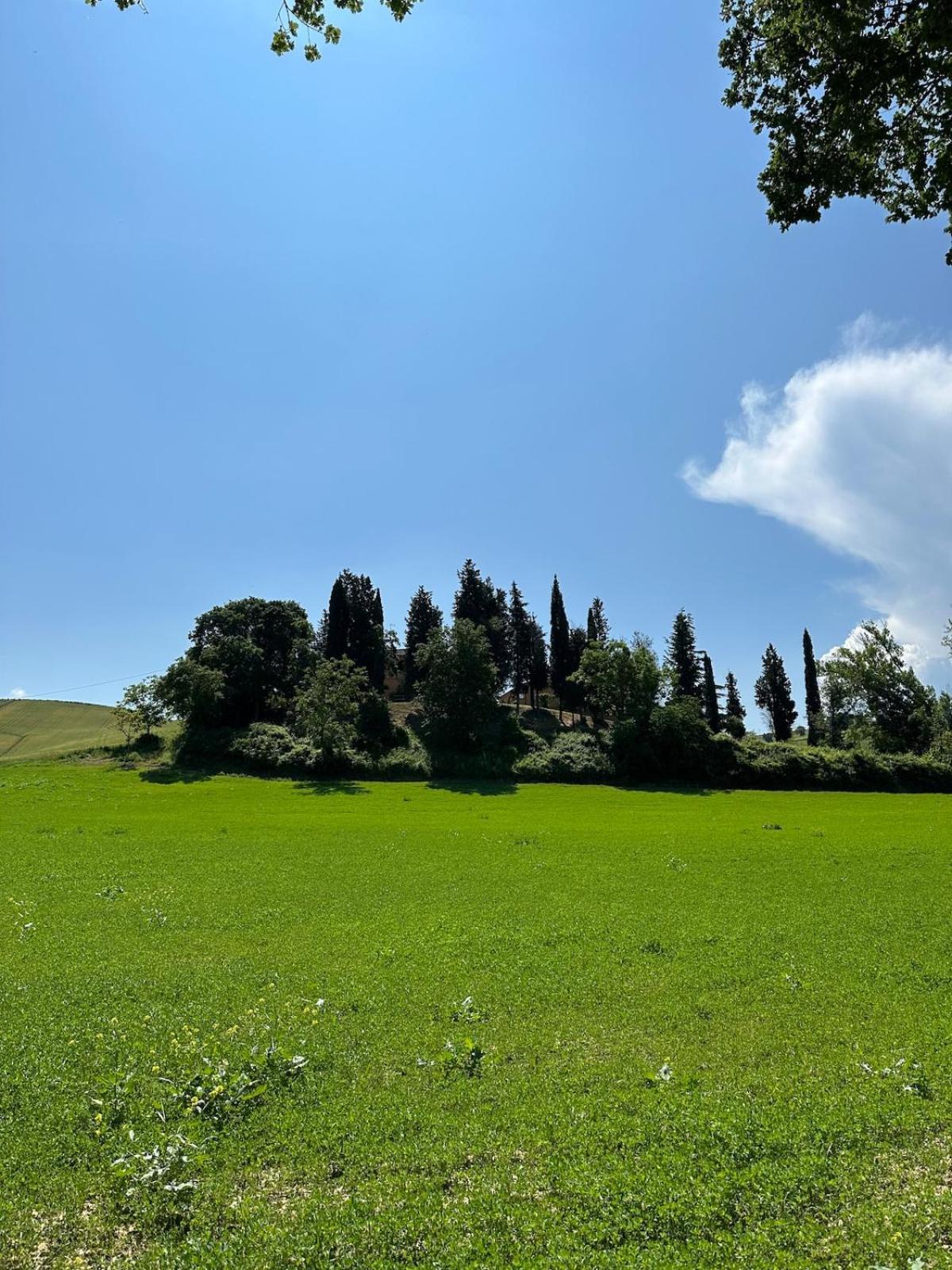 Villa Il Giardinello Montalcino Eksteriør billede