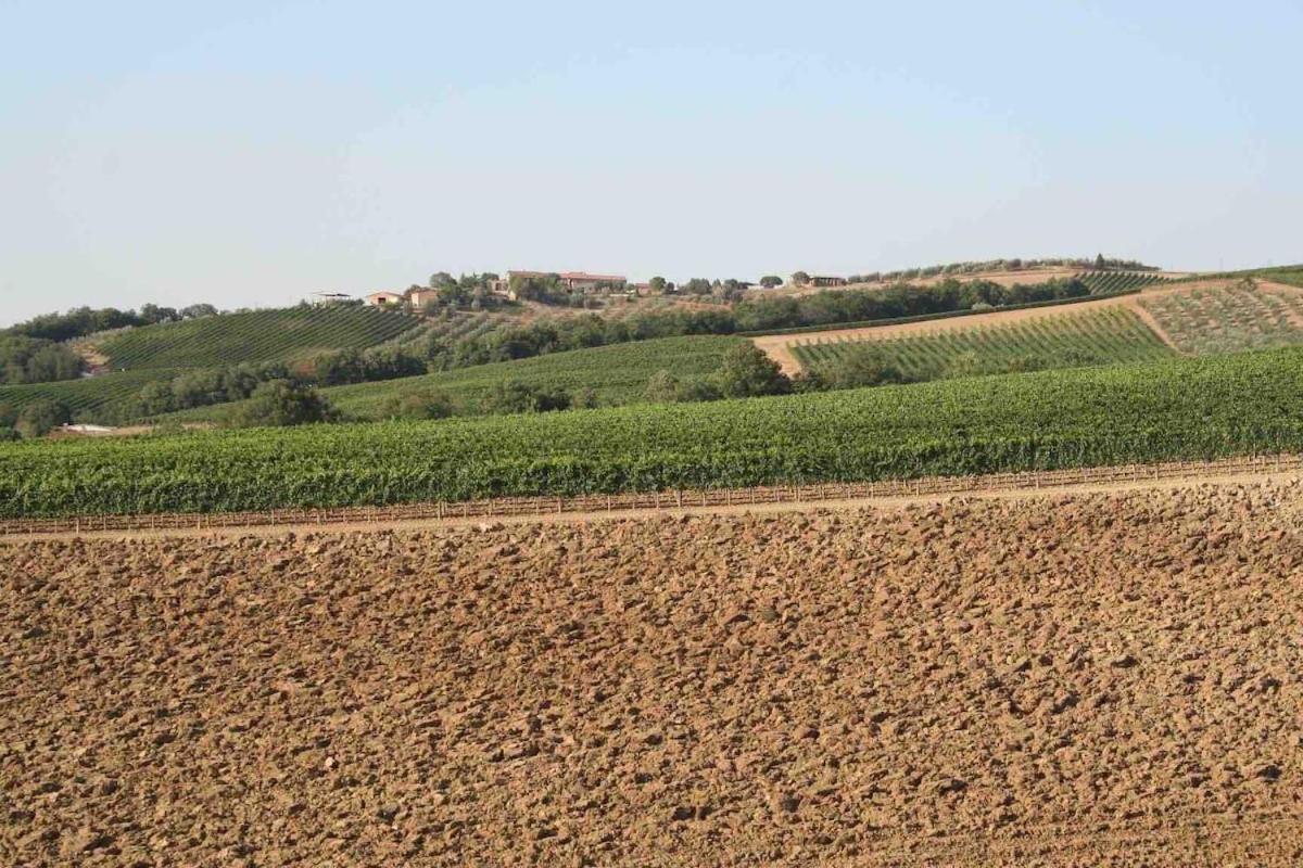 Villa Il Giardinello Montalcino Eksteriør billede