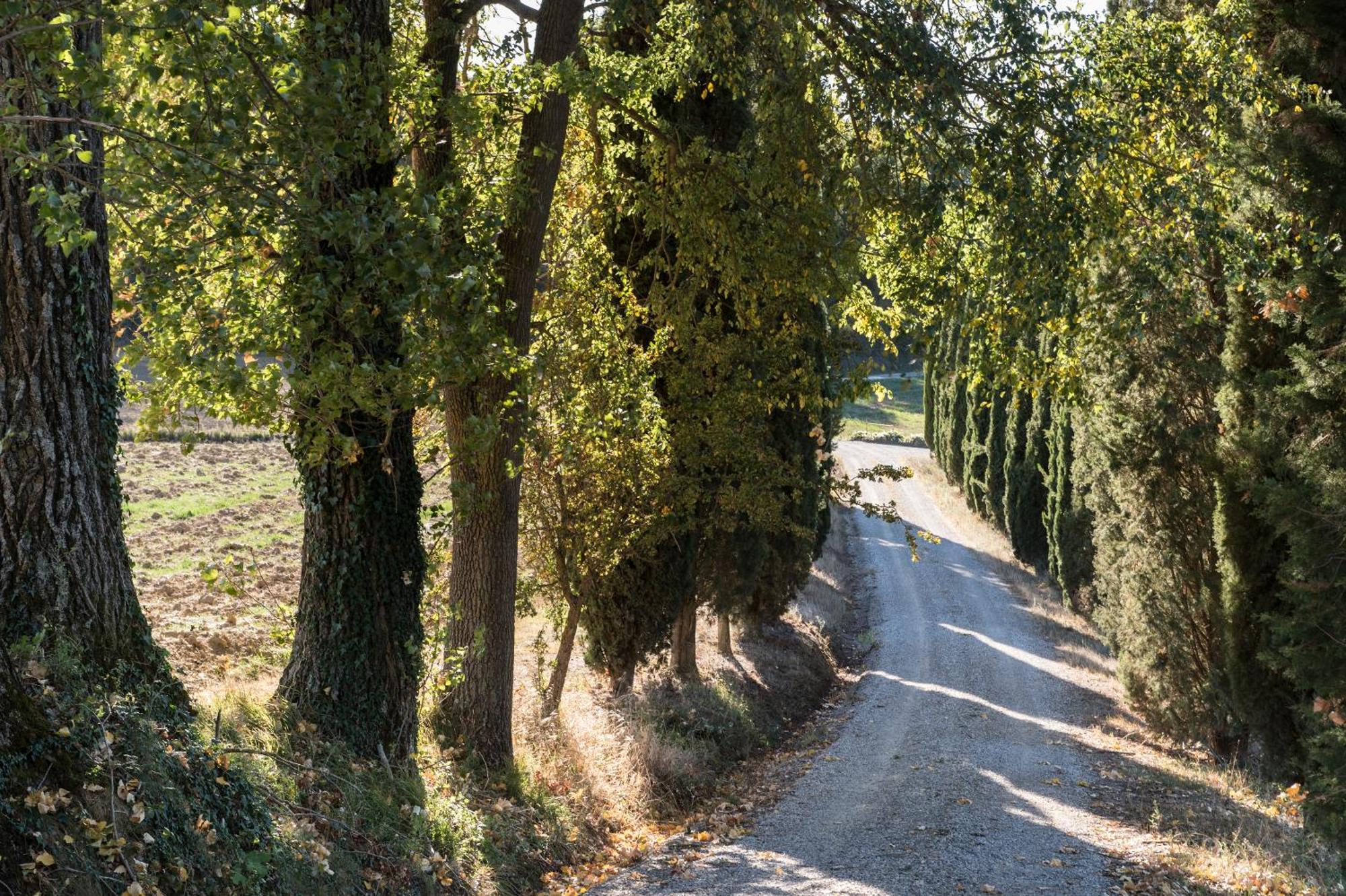 Villa Il Giardinello Montalcino Eksteriør billede